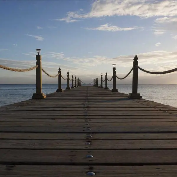 Halfmoon AI - Free AI Image Generator