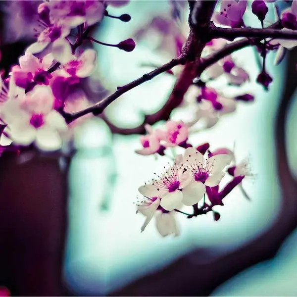 Halfmoon AI - Free AI Image Generator